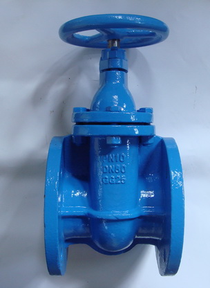 DIN3352 F4 cast iron gate valve - Image 2