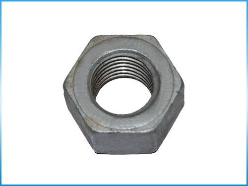Hex Nut