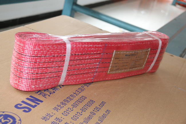 Polyester Webbing Sling with Eyes