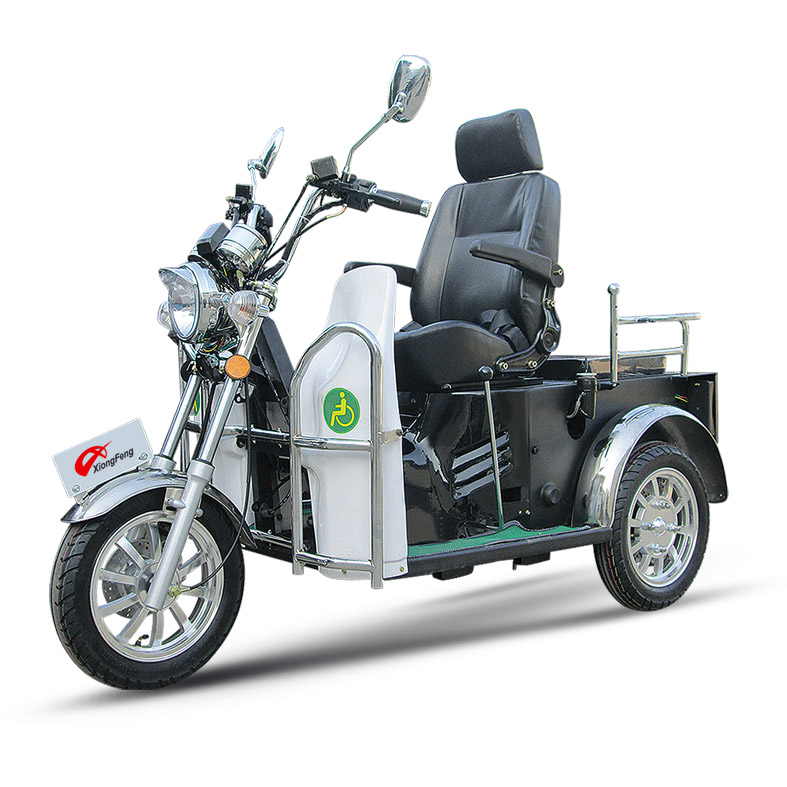 Disabled tricycle - Image 3