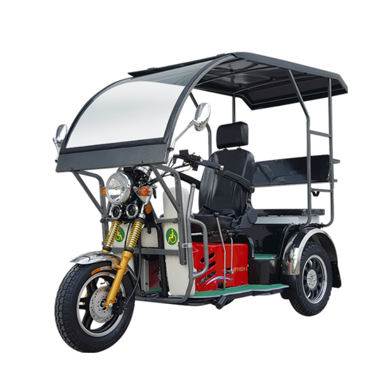 Disabled tricycle - Image 3