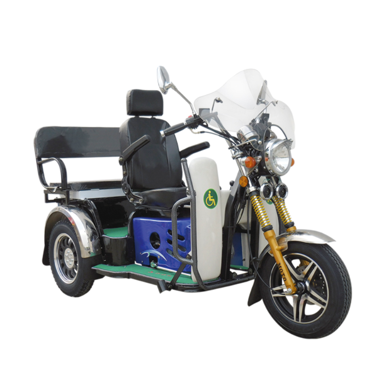 Disabled tricycle - Image 2