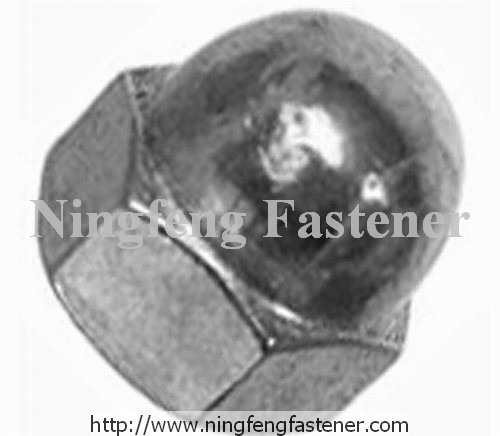 Domed Cap Nut