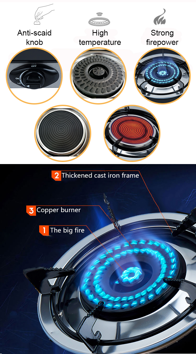 Countertop Double Burner Gas and Electric Stove