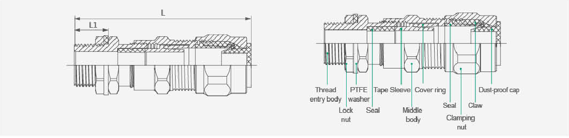 Technical diagram of double compression cable gland components