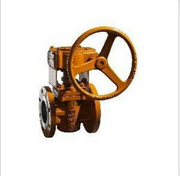 Double-Direction Flow Sleeve Plug Valve