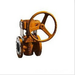 Double-Direction Flow Sleeve Plug Valve