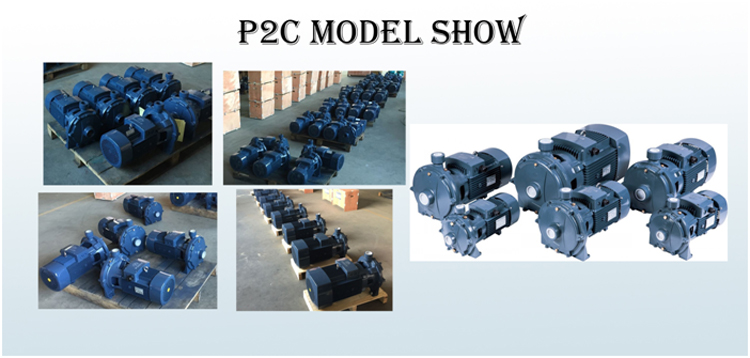 Double Impeller Centrifugal Pump P2C - Image 2
