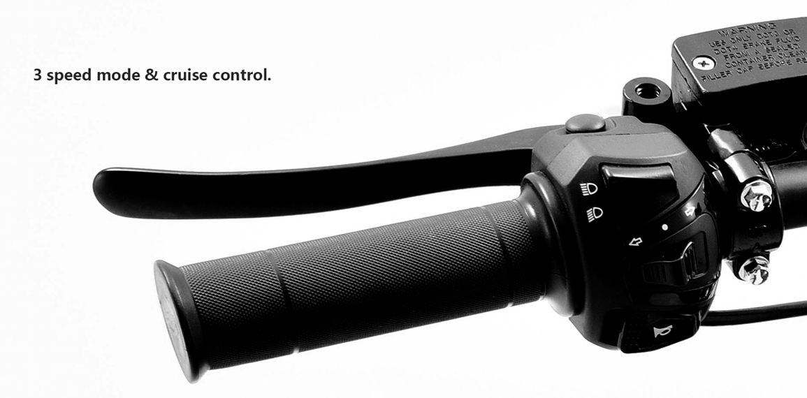 Handlebar controls showing speed modes and cruise control buttons