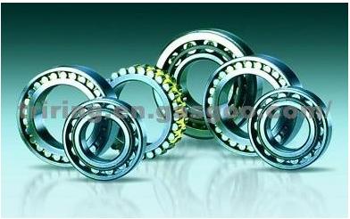Double Row Cylindrical Roller Bearing