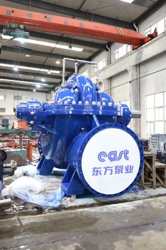 Double suction pump series DFSS - Image 2