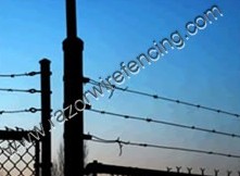 Double Twisted Barbed Wire - Image 2