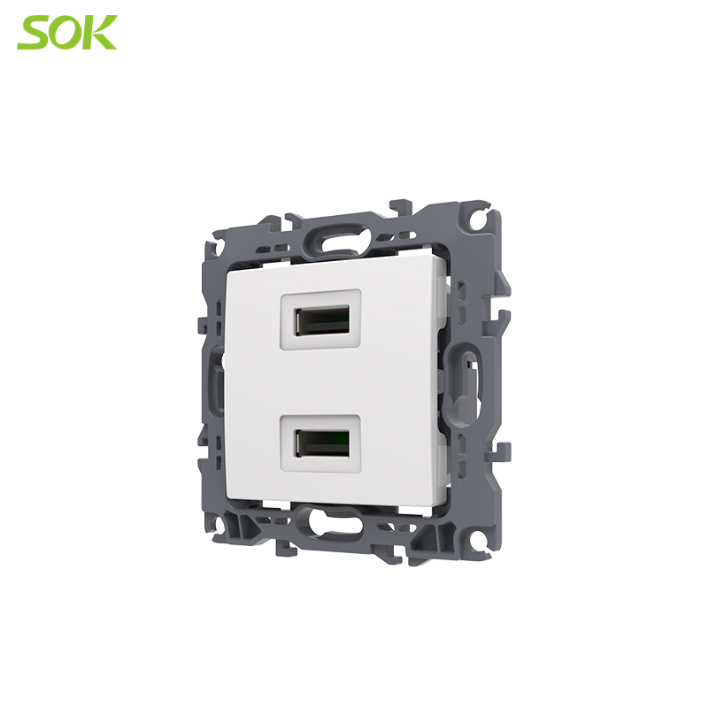 Dual USB Wall Outlet