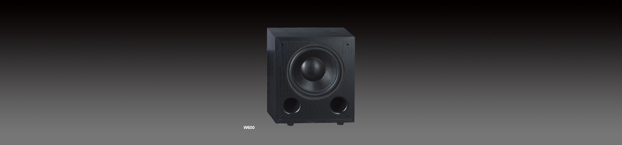 Home Theater Speaker System with Subwoofer