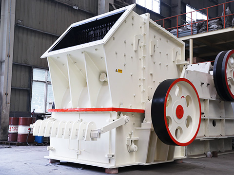 Internal view of the Single Stage Hammer Crusher showing the rotor and hammer mechanism