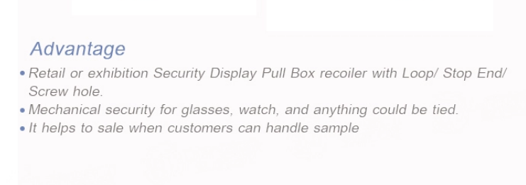 Security display recoiler with loop end
