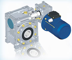 Worm Gear Speed Reducer