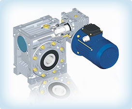 Combination Worm Gear Reducer
