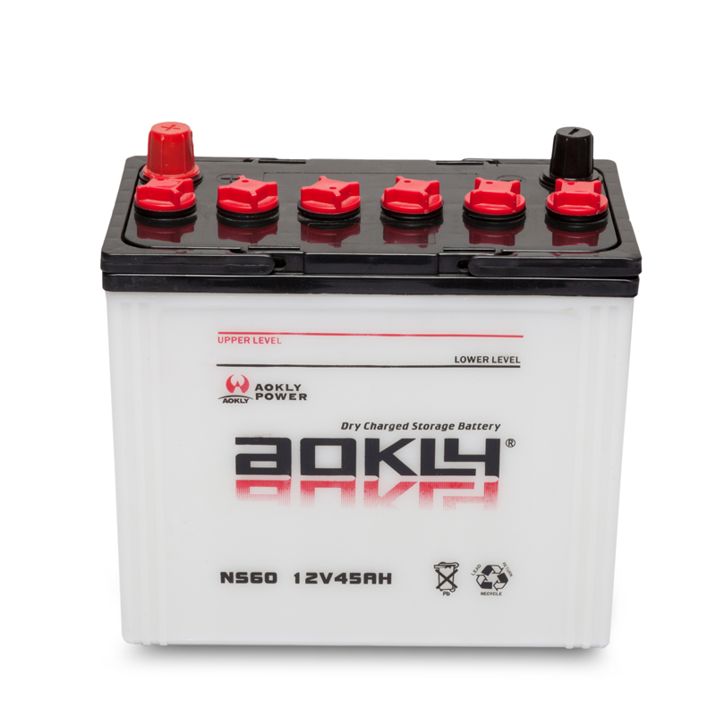 Dry Charged Battery NS60 - Image 2