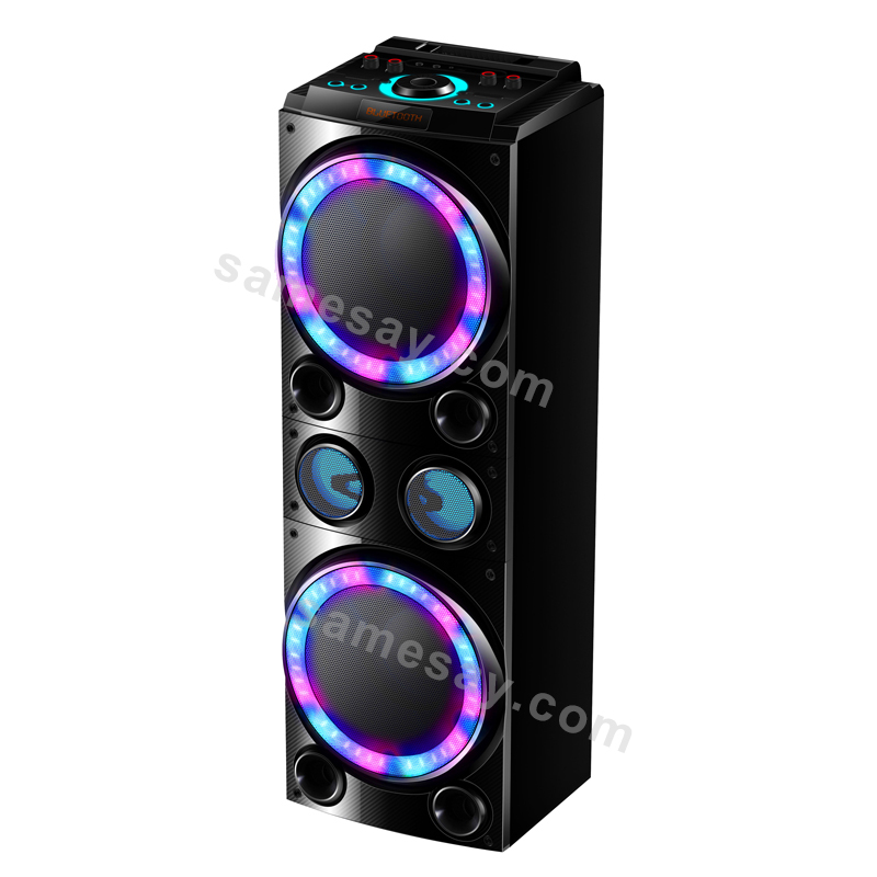 Dual 10-Inch High-Power Speaker with LED Lighting