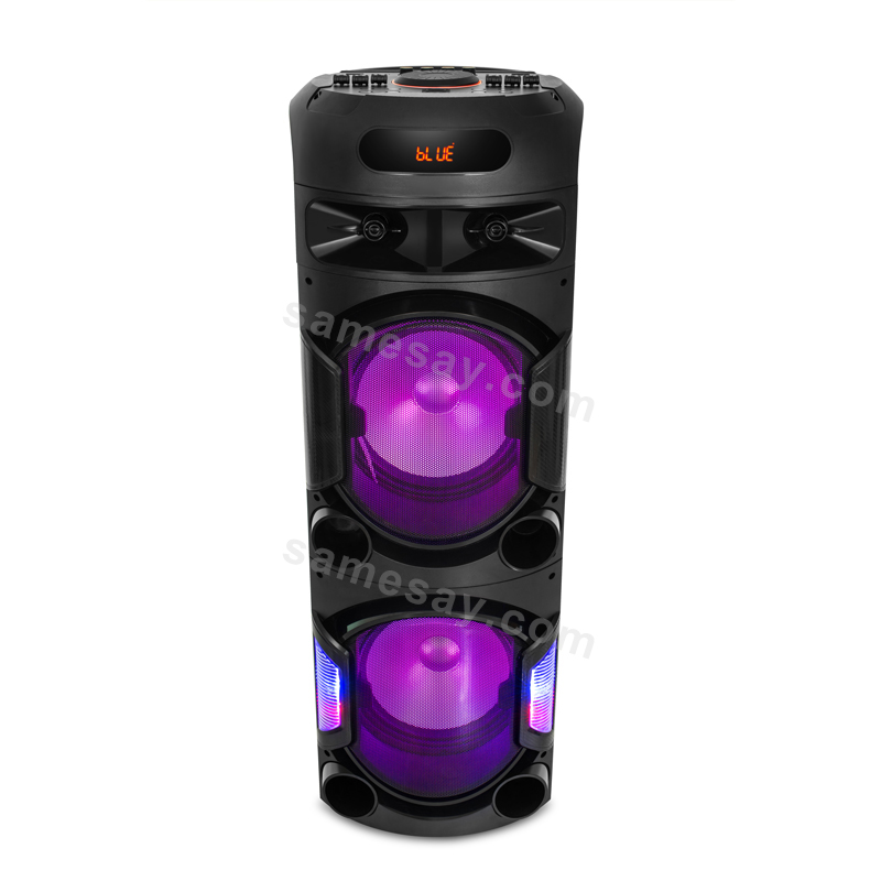 Dual 12-Inch High-Power Speaker with LED Lighting