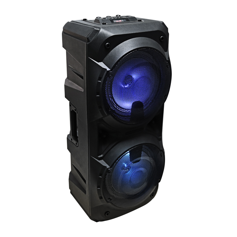Dual 8-Inch Outdoor Bluetooth Party Speaker