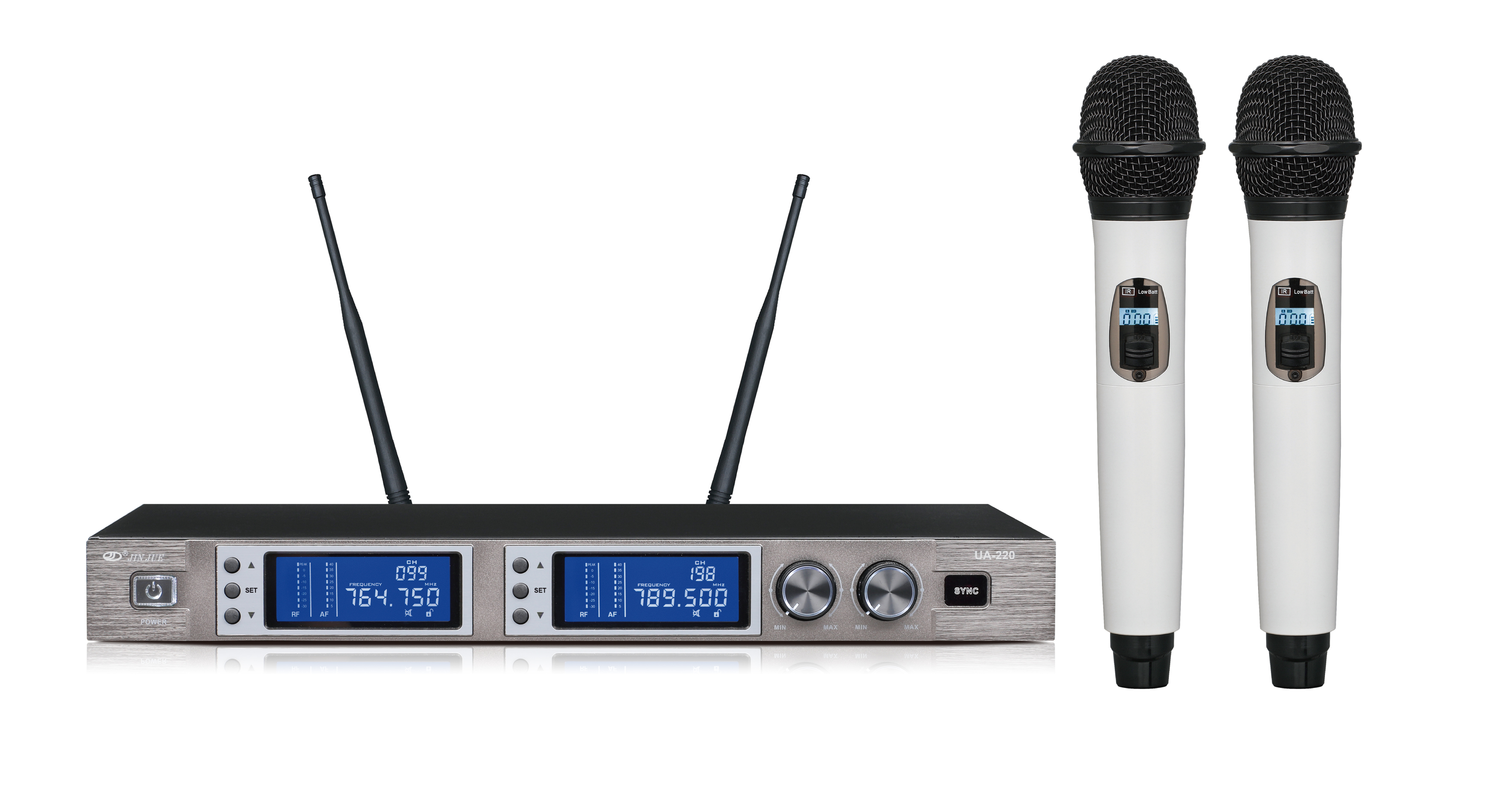 Dual Channel Wireless Microphone System