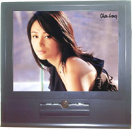 14-Inch Color LCD Monitor