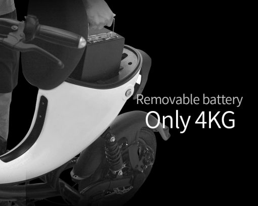 Smart Electric Bike with 50km Range