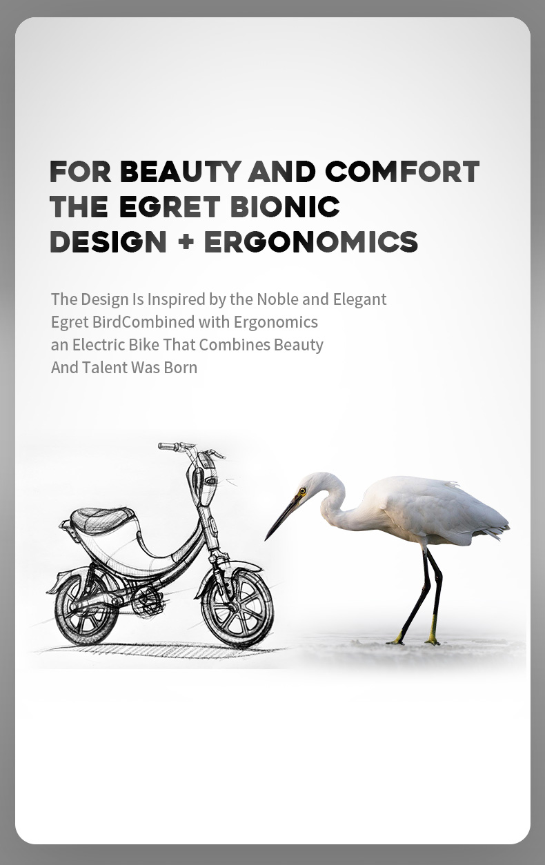 Bionic egret-inspired design of the electric bike