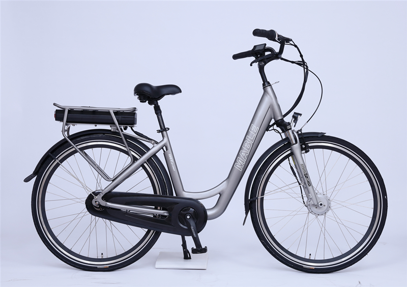 E-BIKE LADY - Image 3