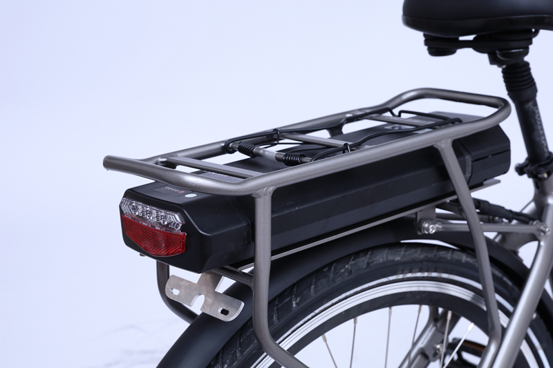 E-BIKE LADY - Image 2