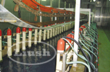 Automotive Car Door E-Coating System