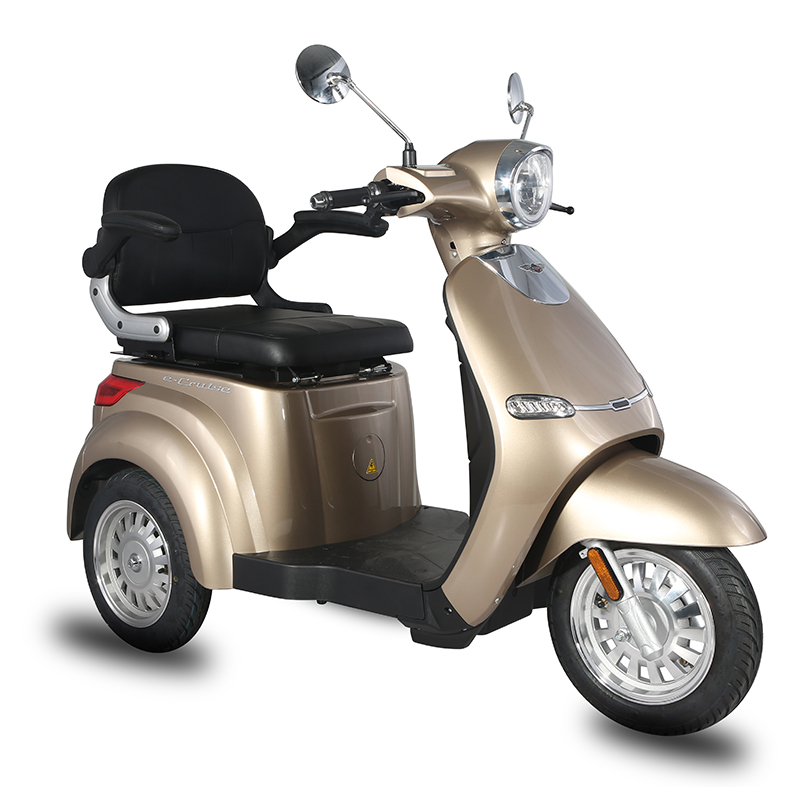 Electric tricycle side view