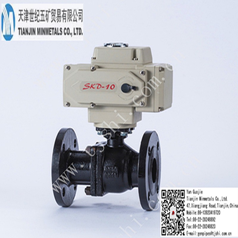 Electric Actuated Flanged Valve SKD-10 Series