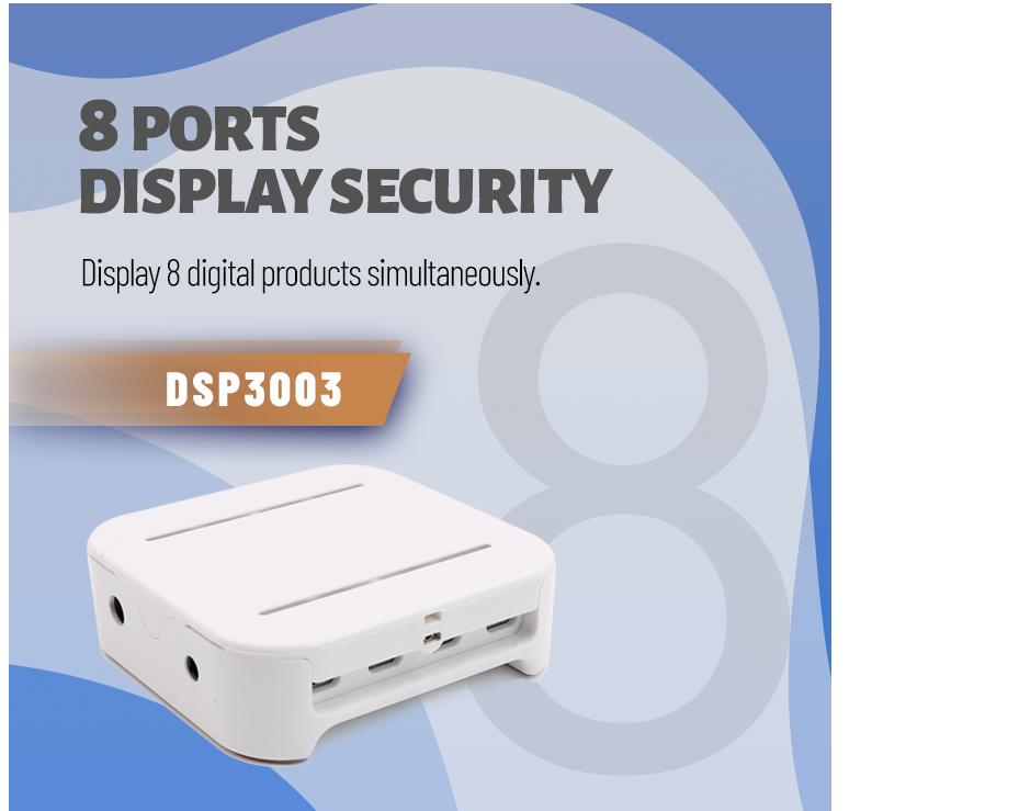 Display security device with 8 ports
