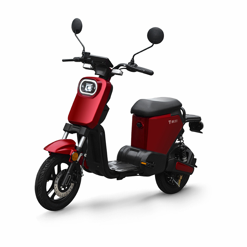 EBIKE - Image 2