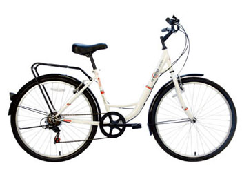 12-inch Folding Bike with Aluminum Frame