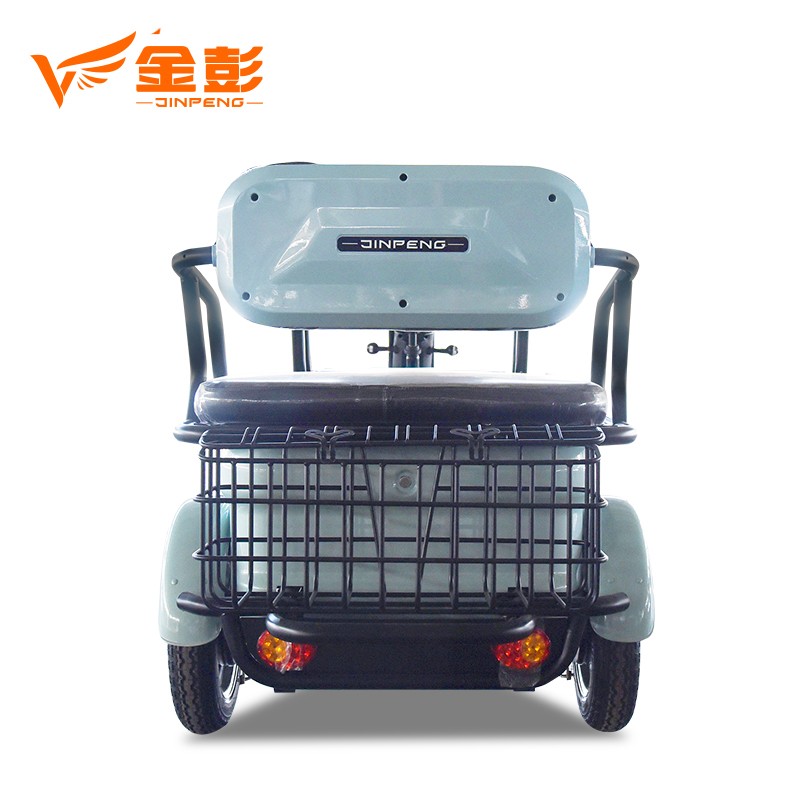 EEC Certificate Simple type 3 wheel folding electric passenger tricycle - Image 2