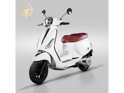 EEC & Coc Duck Bravo L1e L3e 72V 40ah Lithium Battery Adult Electric Scooter - Image 3