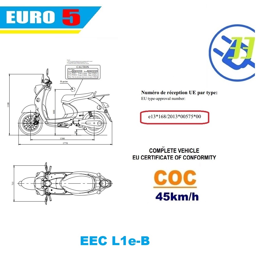 Electric Scooter with Portable Lithium Battery