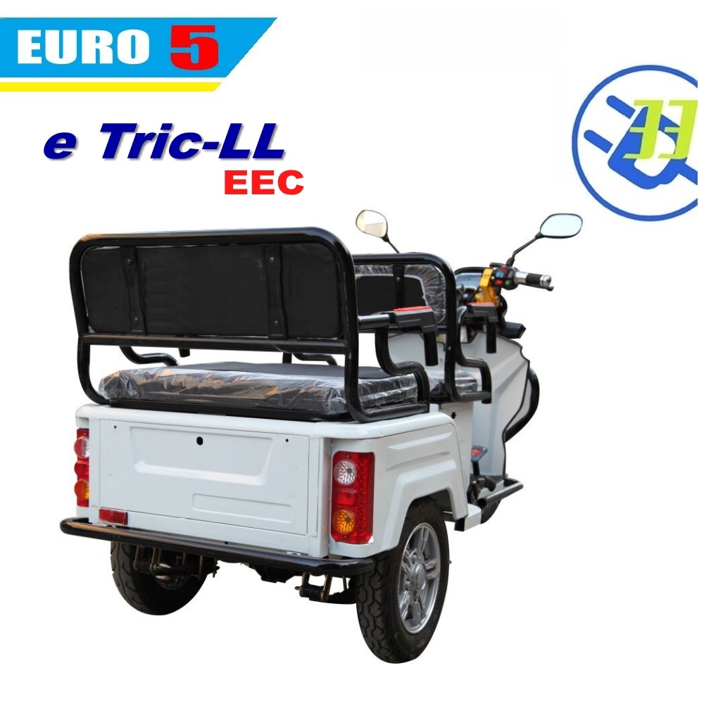 EEC COC EURO5 electric tricycle 3 wheel e motorcycle (T LL) EV 33 - Image 2