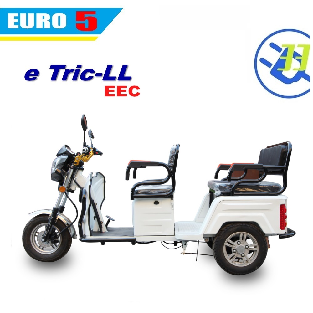 Electric Tricycle 3-Wheel Motorcycle