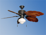 Indoor Ceiling Fan with Light