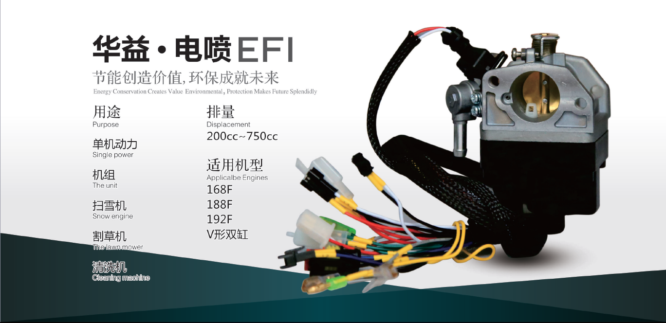 Electronic Fuel Injection system diagram and specifications overview