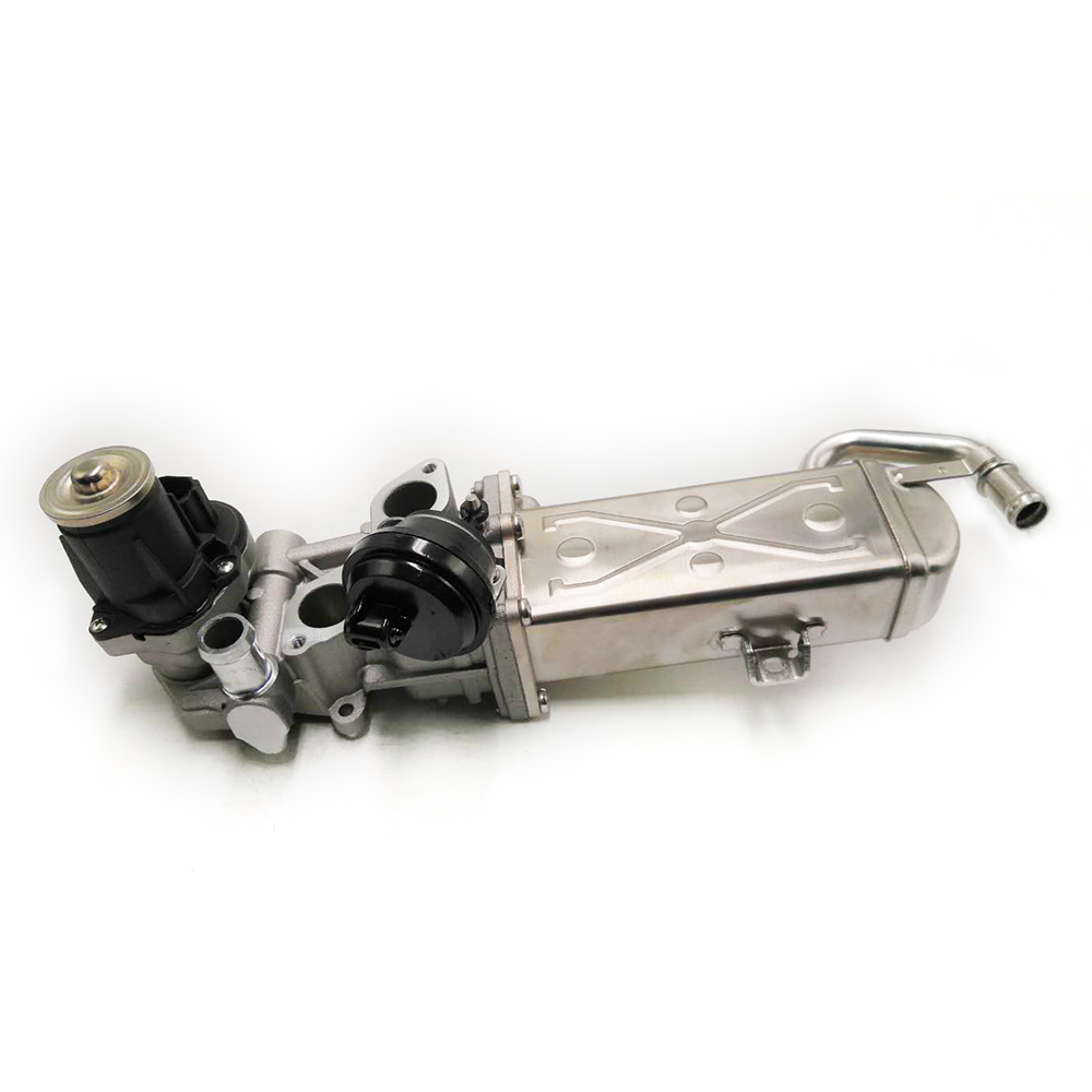 Exhaust Gas Recirculation Valve