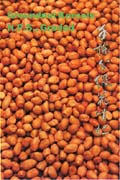 Red Yeast Rice Supplement