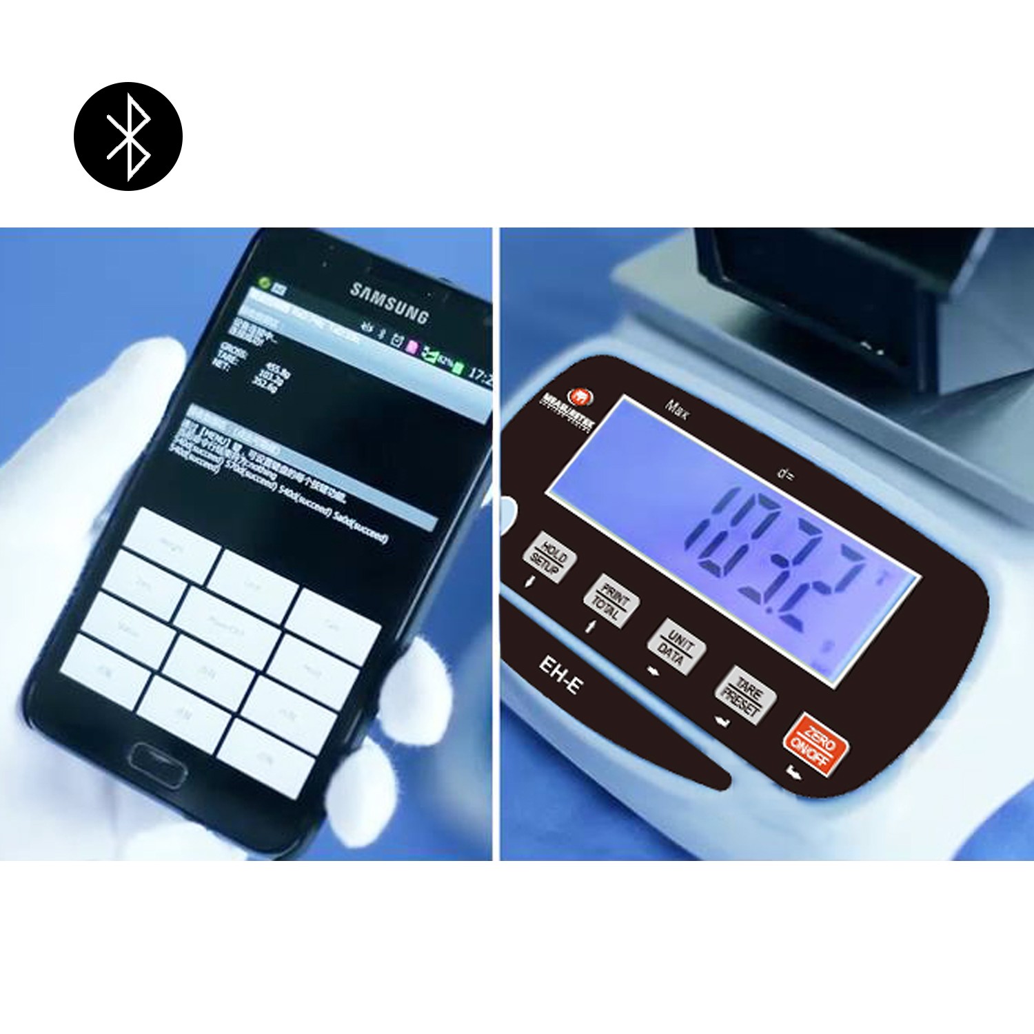 Precision Electronic Scale