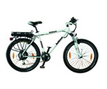 Electric Mountain Bicycle with Shimano Nexus 24-Speed Derailleur
