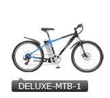 Electric Mountain Bicycle